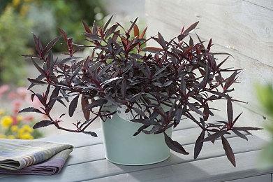 《最终幻想14》总监吉田直树谴责第三方插件 对数据挖掘零容忍